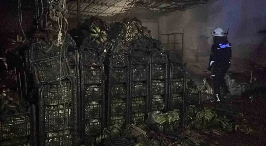 Alanya'da muz deposunda yangın: Tonlarca muz zarar gördü
