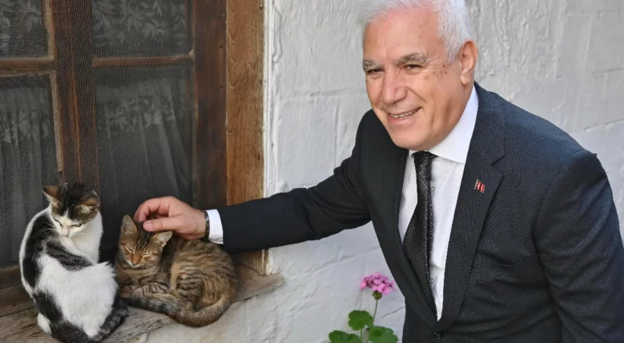 Bursa Büyükşehir patili dostların yanında