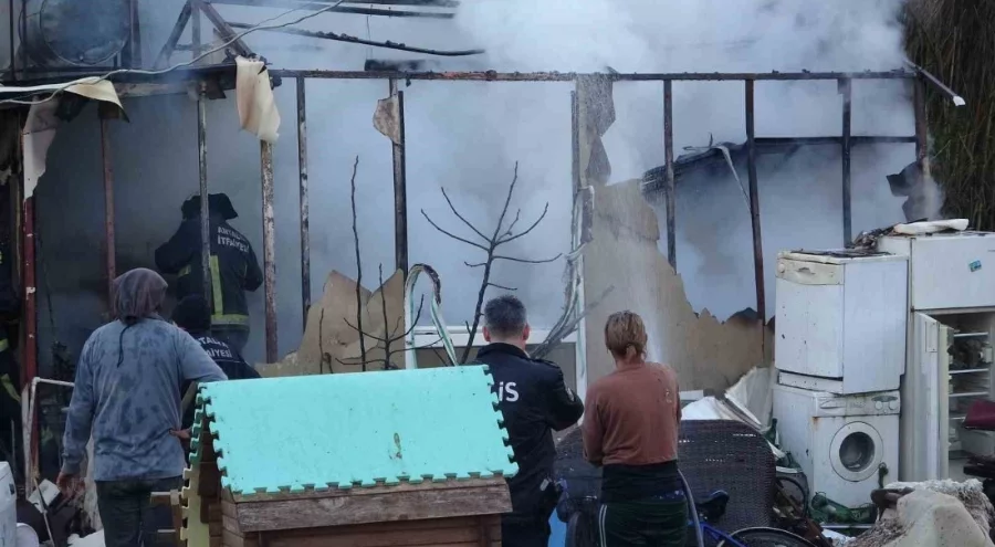 Antalya'da konteyner evde yangın çıktı: 2 kedi telef oldu