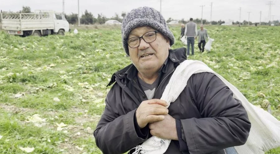 Hatay'da bedava olduğunu duyan koştu geldi; çuval çuval aldılar