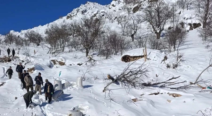 Hakkari'de çığ düştü: Evler ve ahırlar zarar gördü