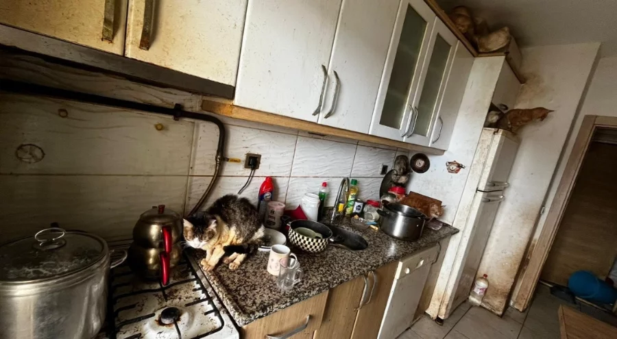 İhbar üzerine girilen evde şoke eden görüntü: Bir evden 55 can kurtarıldı