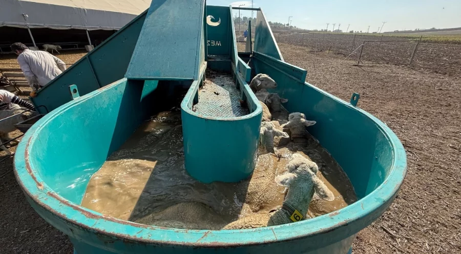 Bursa İnegöl Belediyesi'nden tarıma ve üreticiye destek