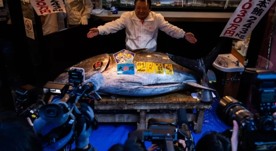 Açık artırmada 3,2 milyon dolara satılan balık rekor kırdı