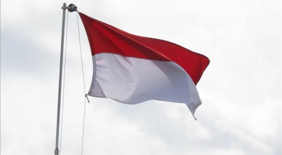 Endonezya'da sel felaketi: Çok sayıda can kaybı var