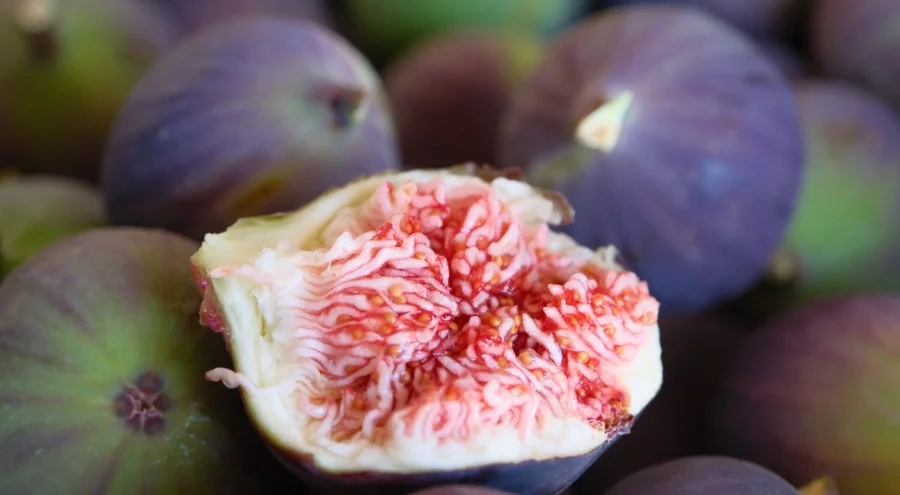 Zirai don ve kuraklık gibi olumsuzluklara rağmen Bursa siyahında değer artışı!