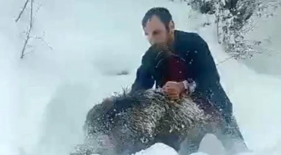 Karlı yolda domuzu elleriyle yakalayan adam konuştu: "Kimseye tavsiye etmem"