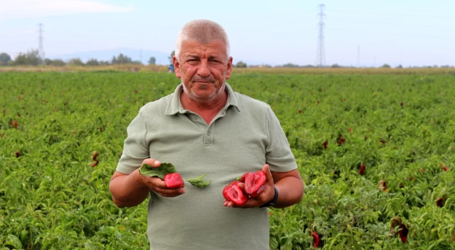 Tarımda alarm zilleri! Çiftçiler üretimden çekilme noktasında
