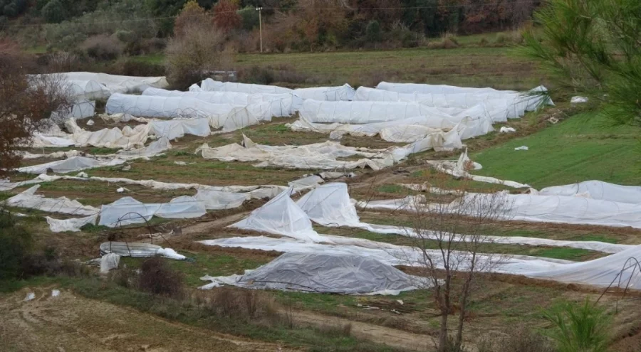 Manavgat'ta hortum 14 serayı kullanılamaz hale getirdi