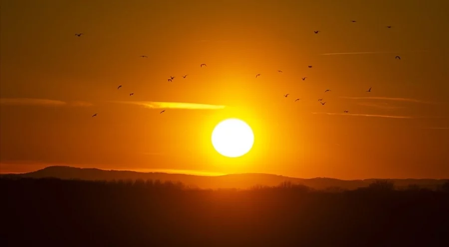 Yeni araştırma: Güneş'in manyetik davranışı evrende nadir görülüyor