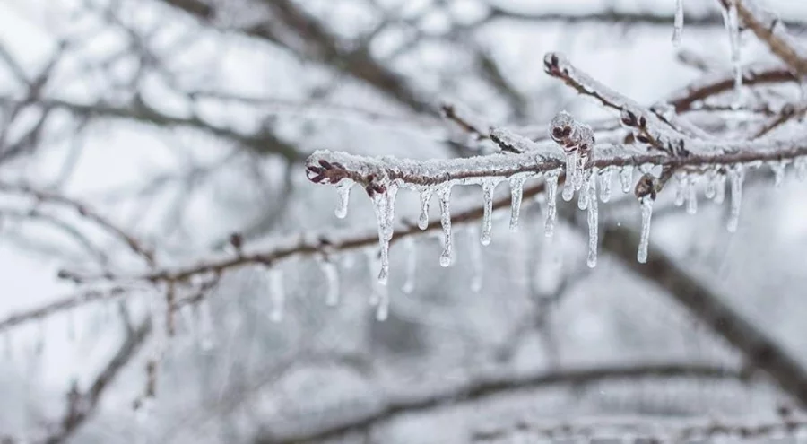 Bursa'da buzlanma alarmı! Büyükşehir'den uyarı geldi