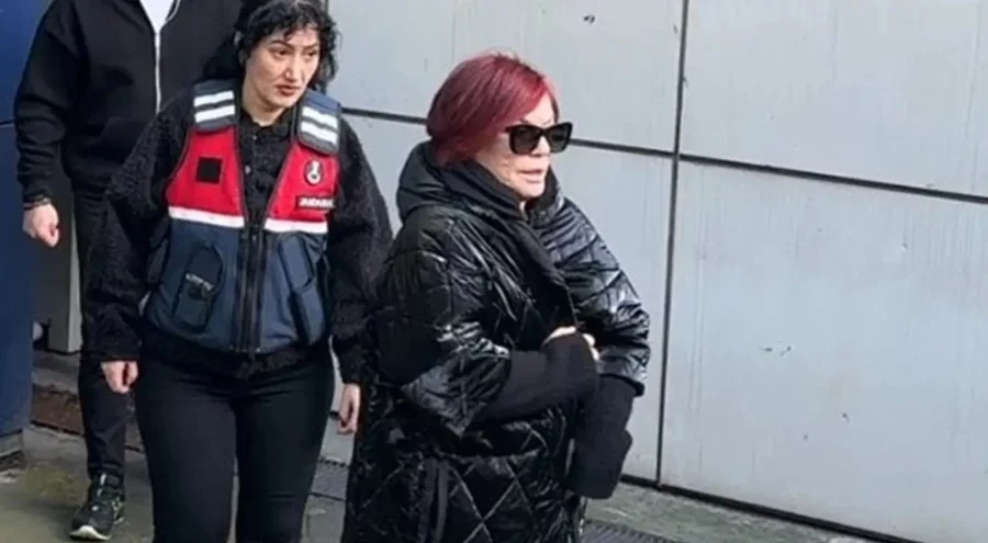 Emel Müftüoğlu'nun ifadesi ortaya çıktı