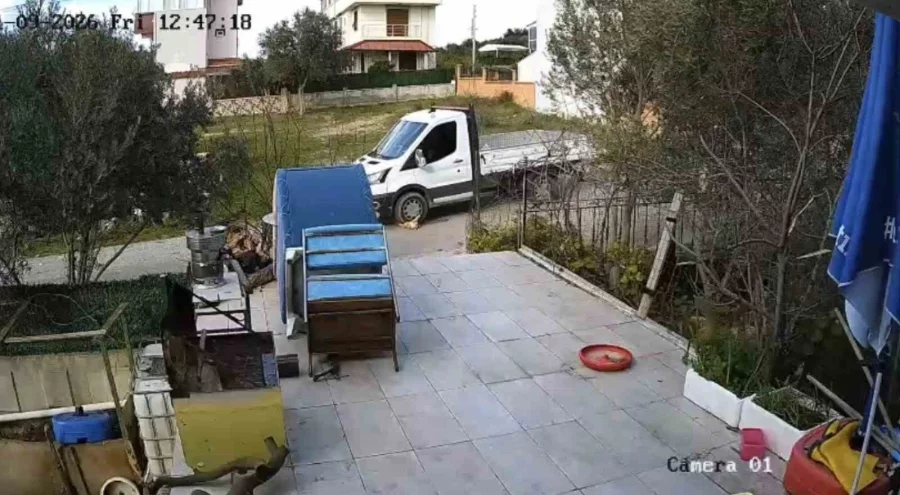 Yerde yatan köpeğin üzerinden geçip yoluna devam etti