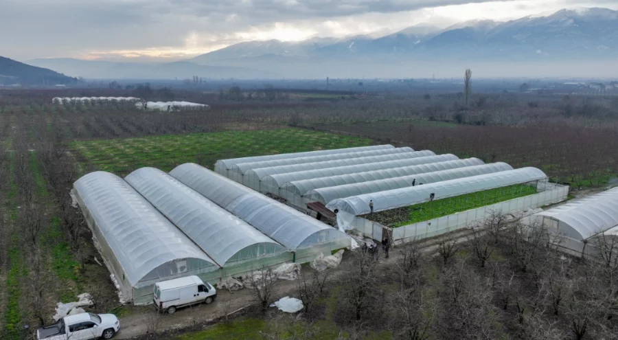 Lodostan zarar gören seralara Bursa Büyükşehir Belediyesi'nden destek