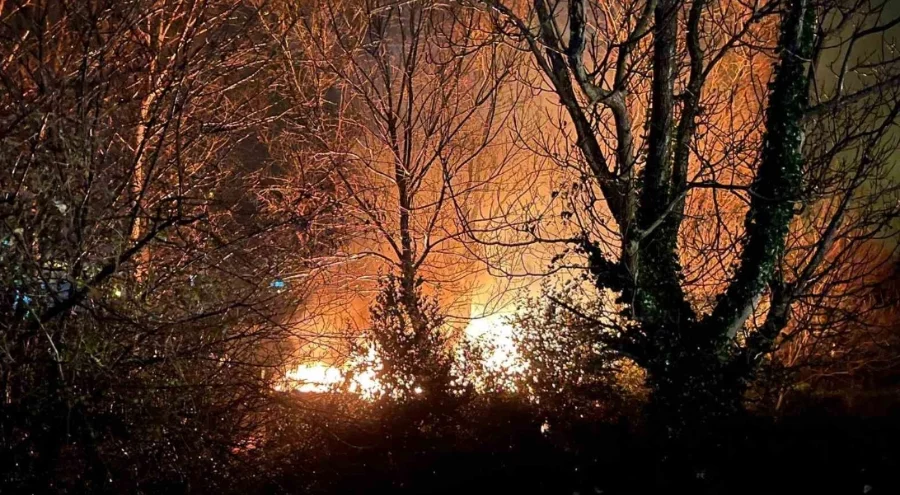 Filyos'ta ağaçlık alanda çıkan yangın panik yarattı