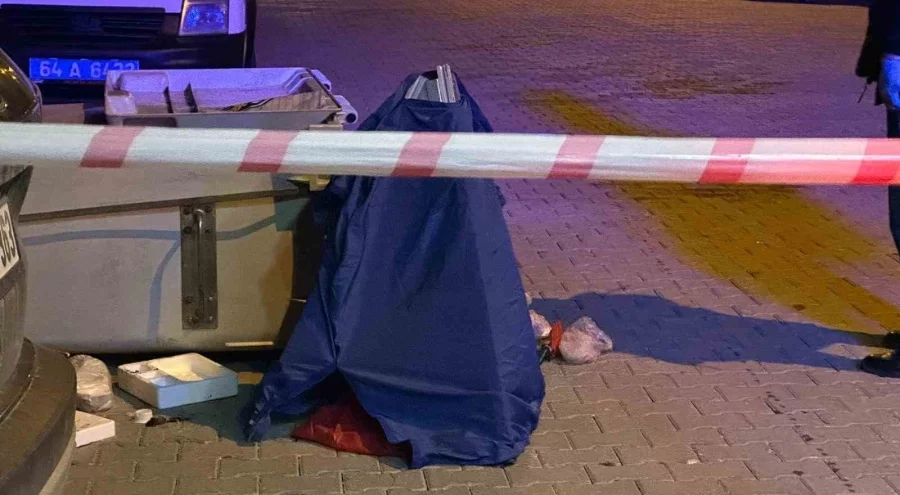Çöp konteynerine atılmış yeni doğmuş bebek cesedi bulundu