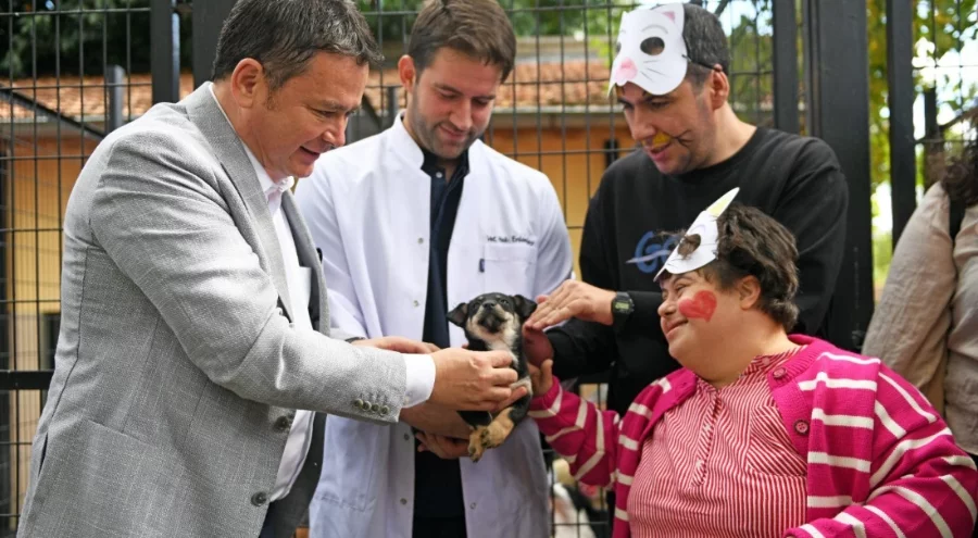 Osmangazi Belediyesi patili dostların umudu oluyor