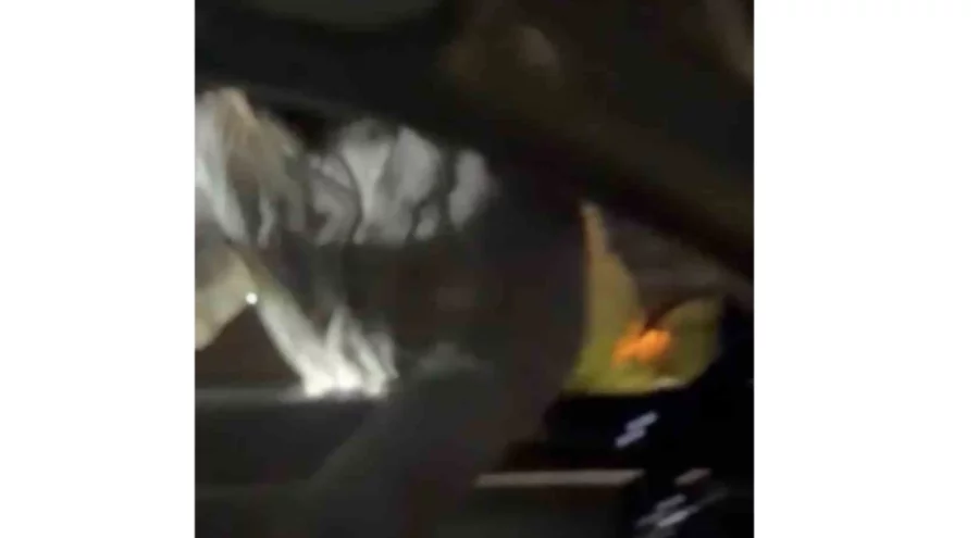 Önce araca saldırdı, ardından araçtakileri bıçakla yaraladı...