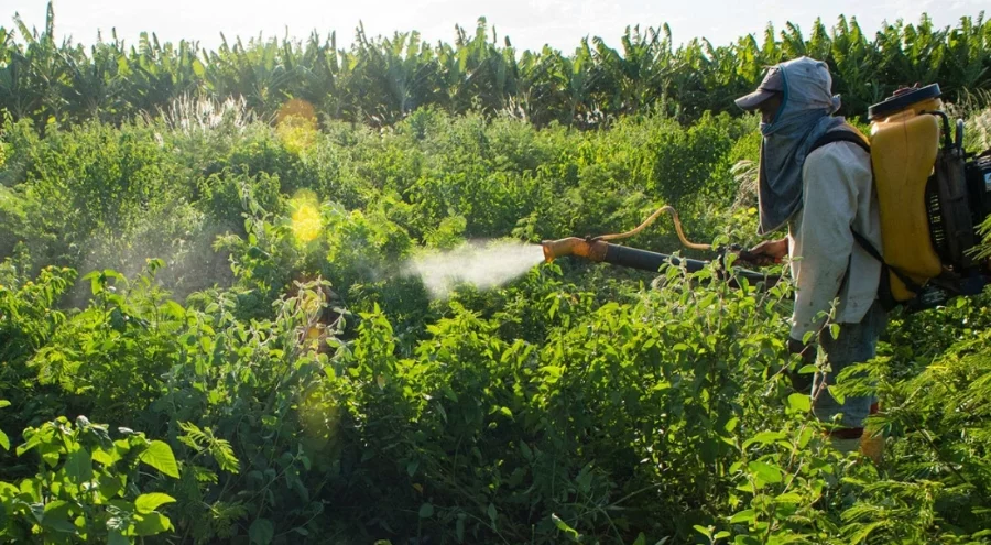 'B-Reçete' uygulaması başlıyor: Bitkiye ilaç artık reçeteyle alınacak