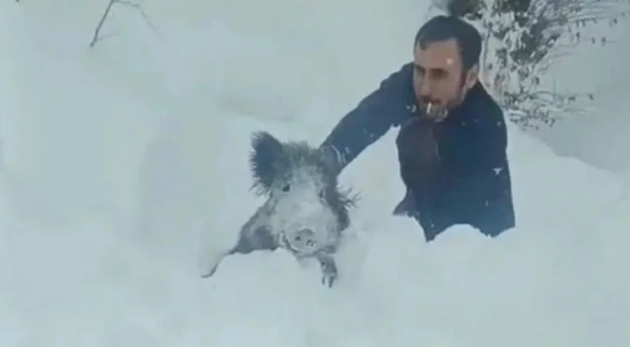 Domuzu eliyle yakalayan kişiye verilen ceza iptal oldu