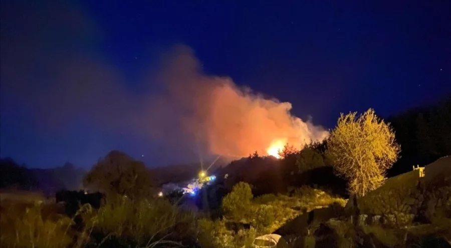 Antalya'da ormanlık alanda yangın çıktı