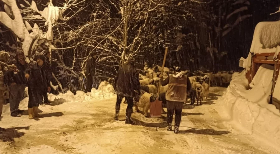 Giresun'da çığ faciası: 1 ölü