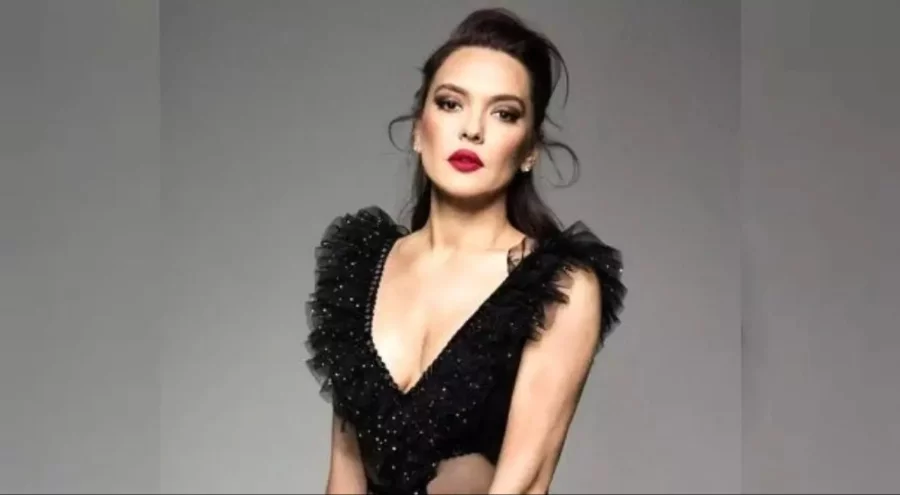 Demet Akalın'dan 'yeşil pasaport' tepkisi