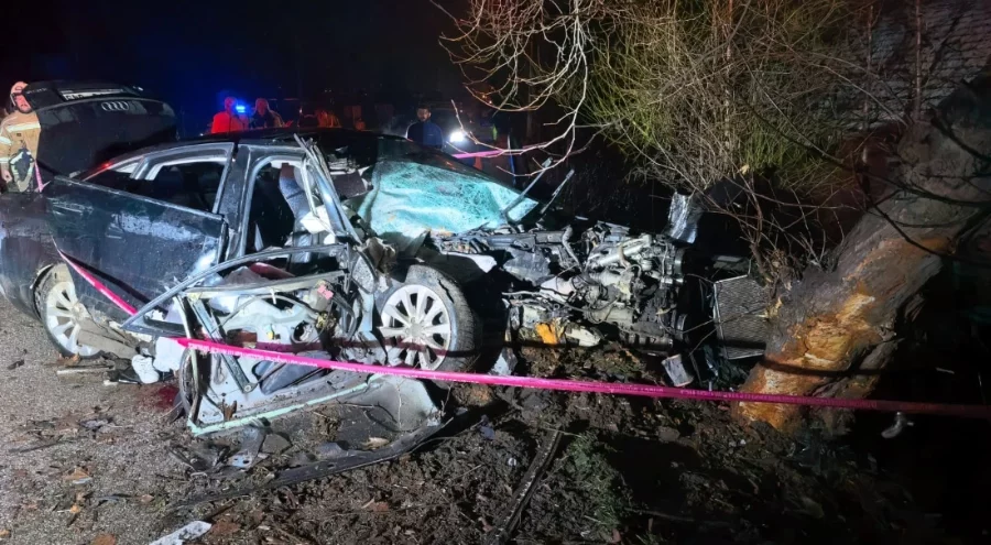 Bursa'da kontrolden çıkan araç ağaca çarptı! 2 ölü, 2 yaralı