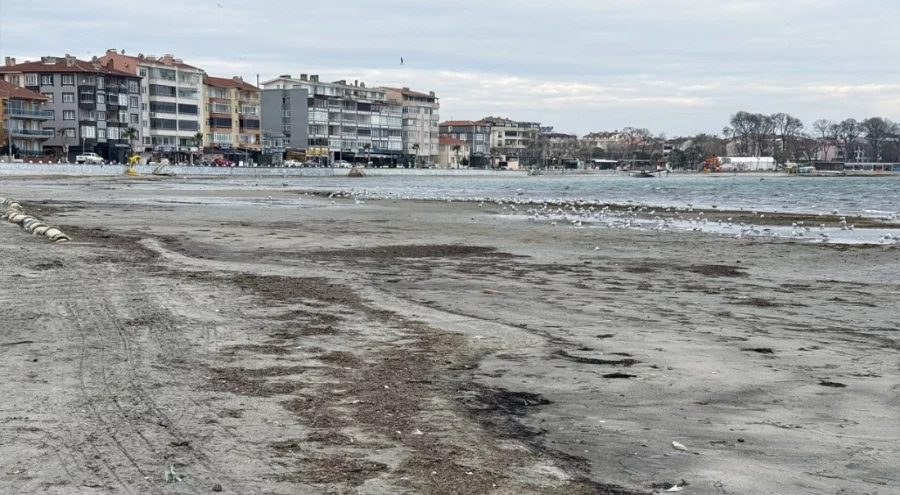 Tekirdağ sahillerinde korkutan görüntü
