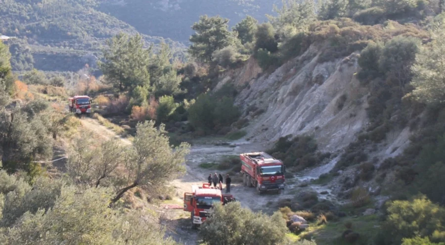 Antalya'da orman yangını! Zararın boyutu ortaya çıktı
