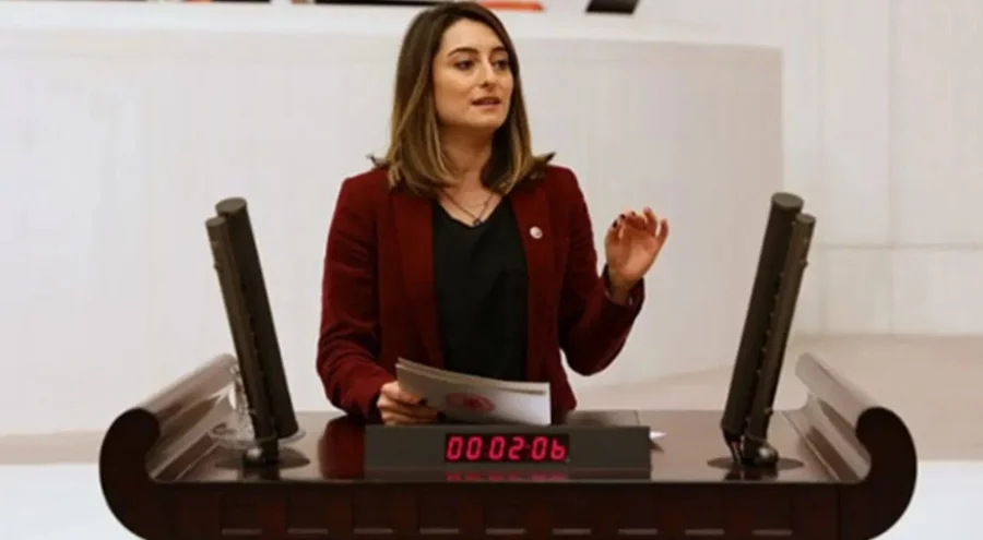 CHP'li vekilden AK Parti'li vekillere sert tepki: 'Pavyondaki kız çocuklarının istismara uğraması...