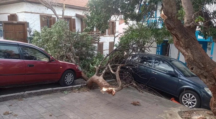 Kaş'ta fırtına: Ağaçlar söküldü, elektrik direkleri devrildi