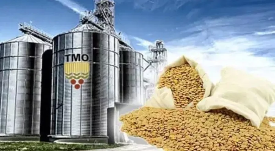 TMO depolarında skandal! Milyonlarca liralık hububat çalındı