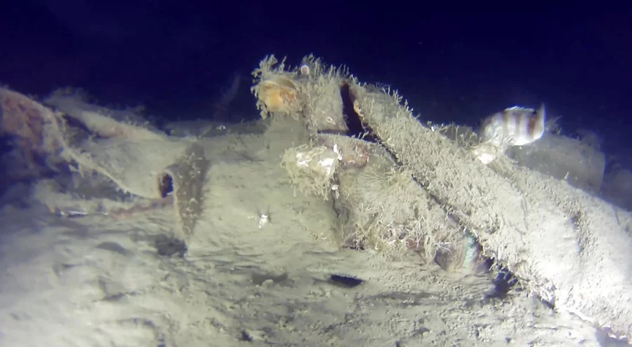 Marmara Denizi'ne 50 yıl önce düşen 'Bursa' uçağından yeni parçalar bulundu