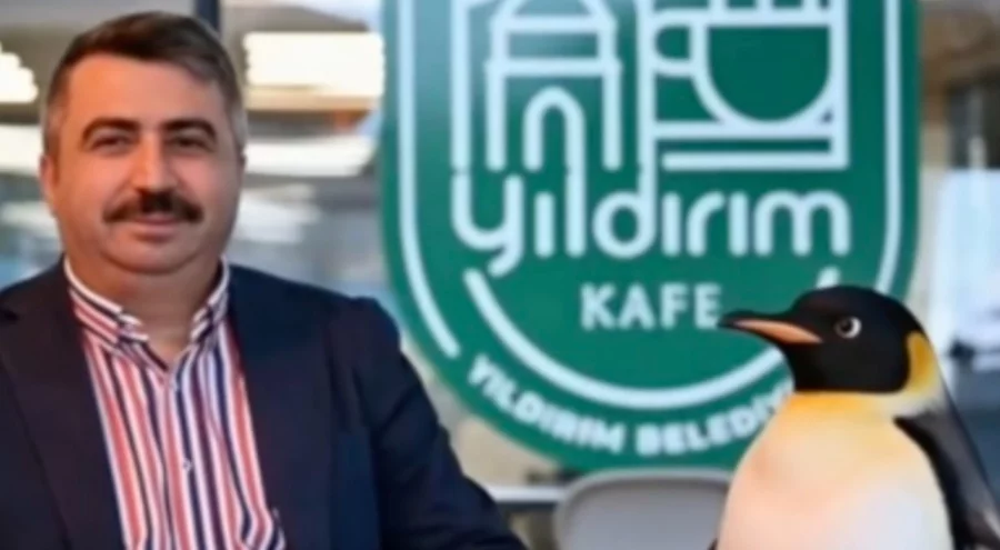 Sürüden ayrılan penguen sosyal medyayı salladı! Belediyeler yarışa girdi