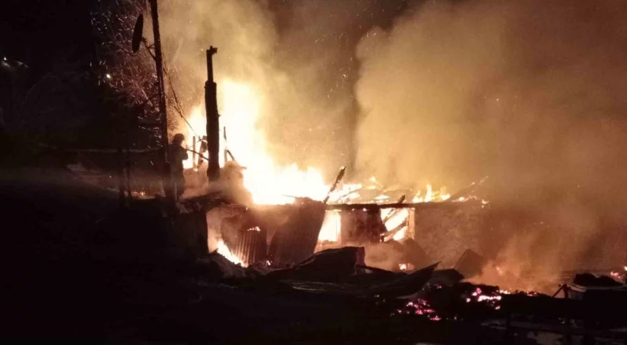 Ordu'da evini ateşe veren kişi ağaçta asılı halde bulundu