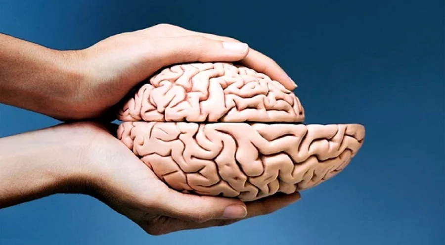 Menopoz beyni nasıl etkiliyor, demans ve alzheimer riskini artırıyor mu?