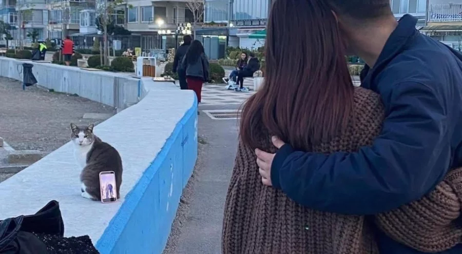Bursa sahilinde gülümseten anlar! Tripod yerine kedi kullandılar
