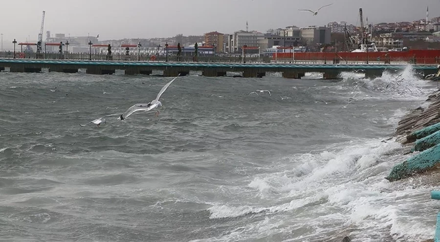 Deniz ulaşımına 'lodos' engeli!