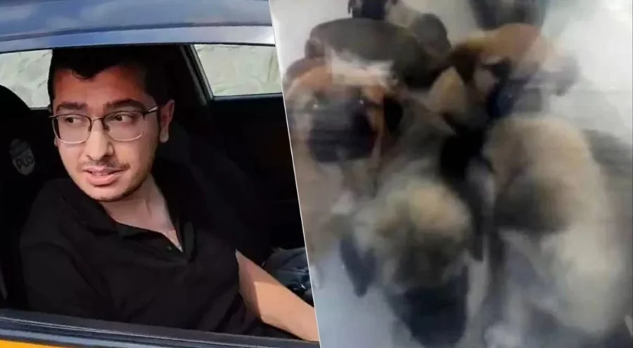 Köpeklere cinsel istismarda bulunup öldüren doktor hakkında flaş gelişme