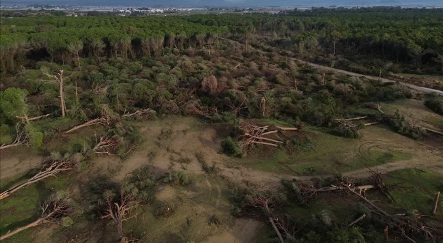 Antalya'da hortumun zarar verdiği ormanlık alan dronla havadan görüntülendi