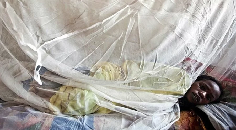 Nijerya'da Lassa ateşi nedeniyle 17 kişi hayatını kaybetti