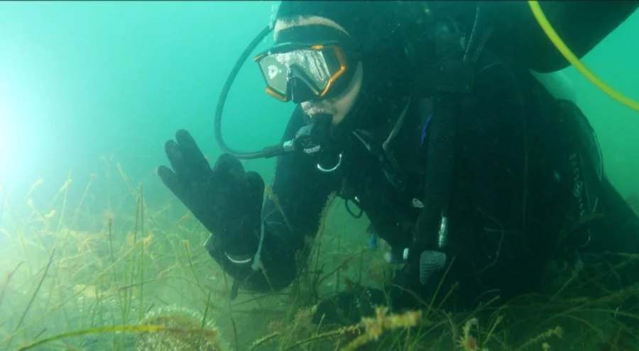 Marmara Denizi'ne kıyı kentlerin belediye başkanlarına dalış çağrısı