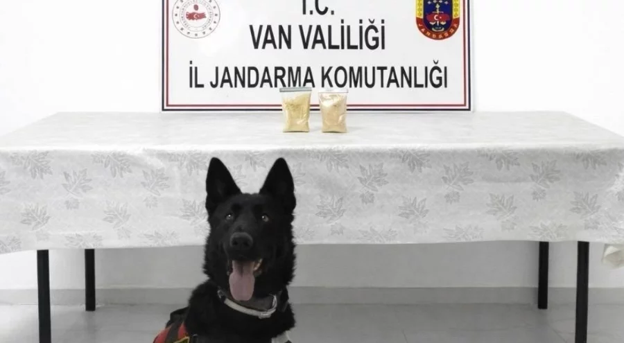 İran uyruklu şahıs üzerinde 510 gram eroin ele geçirildi