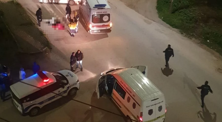 Aydın'ın Didim ilçesinde kanlı infaz: Yolun kenarında 2 cansız beden bulundu