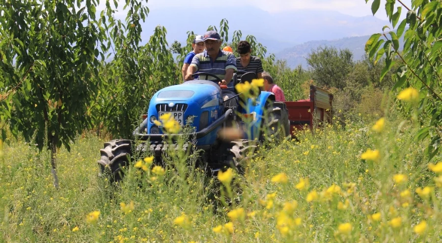 Traktörde "50 binler kulübü"ne 2 şehir daha katıldı