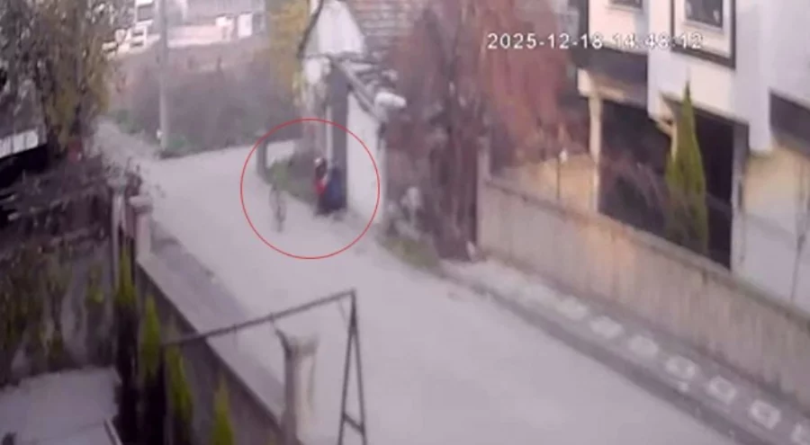 Bursa'da bebek arabasından 2 milyon liralık altın çaldı!