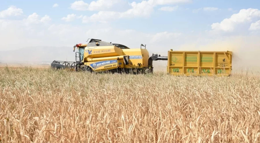 Girişimcilere 114,4 milyon lira hibe aktarıldı