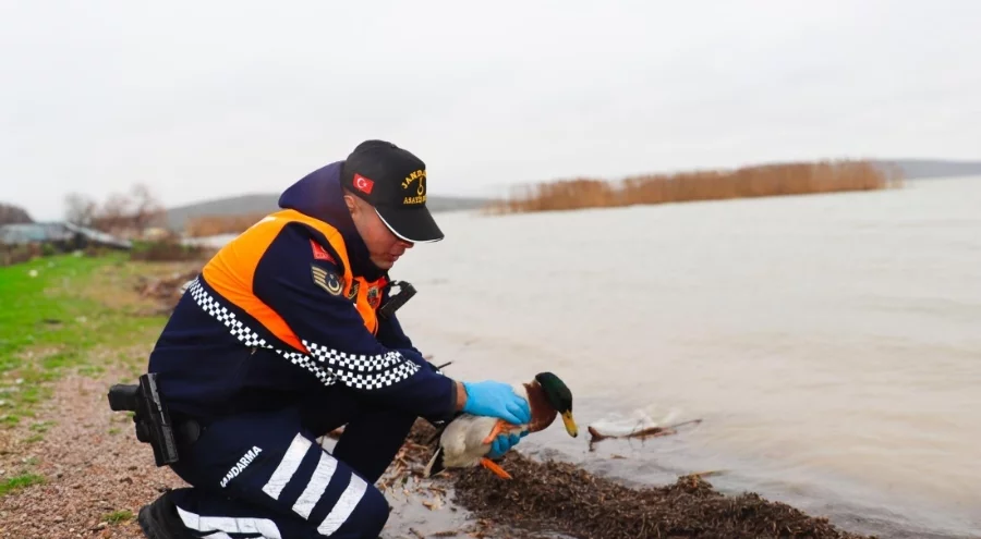 Bursa'da kaçak av operasyonu: 8 kişiye rekor ceza!
