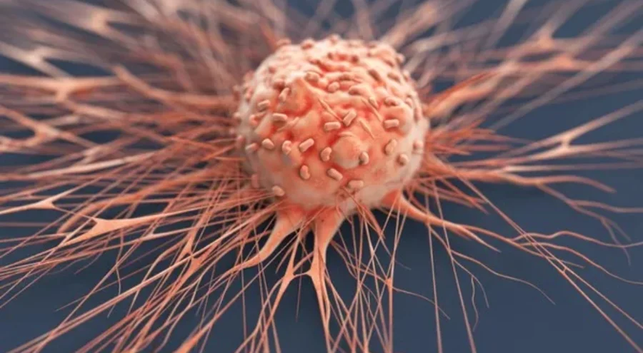 3 temel alışkanlık kanser riskini azaltıyor